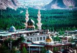 پارک پردیسان قائم کرمان - جنگل قائم کرمان - تور کرمان گردی - جنگل قائم - جنگل کرمان - جنگل پردیسان قائم - عکس جنگل قائم کرمان - جنگل های کرمان