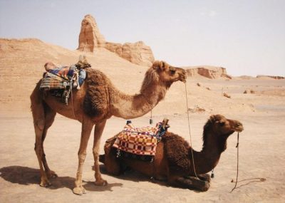 تفریحات منطقه کویری