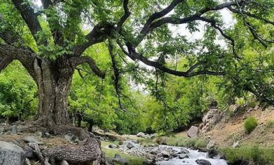 خبر بافت - اقامتگاه بومگردی در خبر بافت