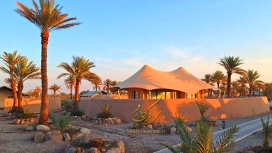 هتل اکو کمپ ستاره لوت ایران ماهان، تور اکو کمپ ستاره لوت، رزرو اکو کمپ ستاره لوت، هتل کمپ ستاره لوت، اکو کمپ ستاره لوت استخر، اکو کمپ ماهان شهداد، اکو کمپ ماکان لوت