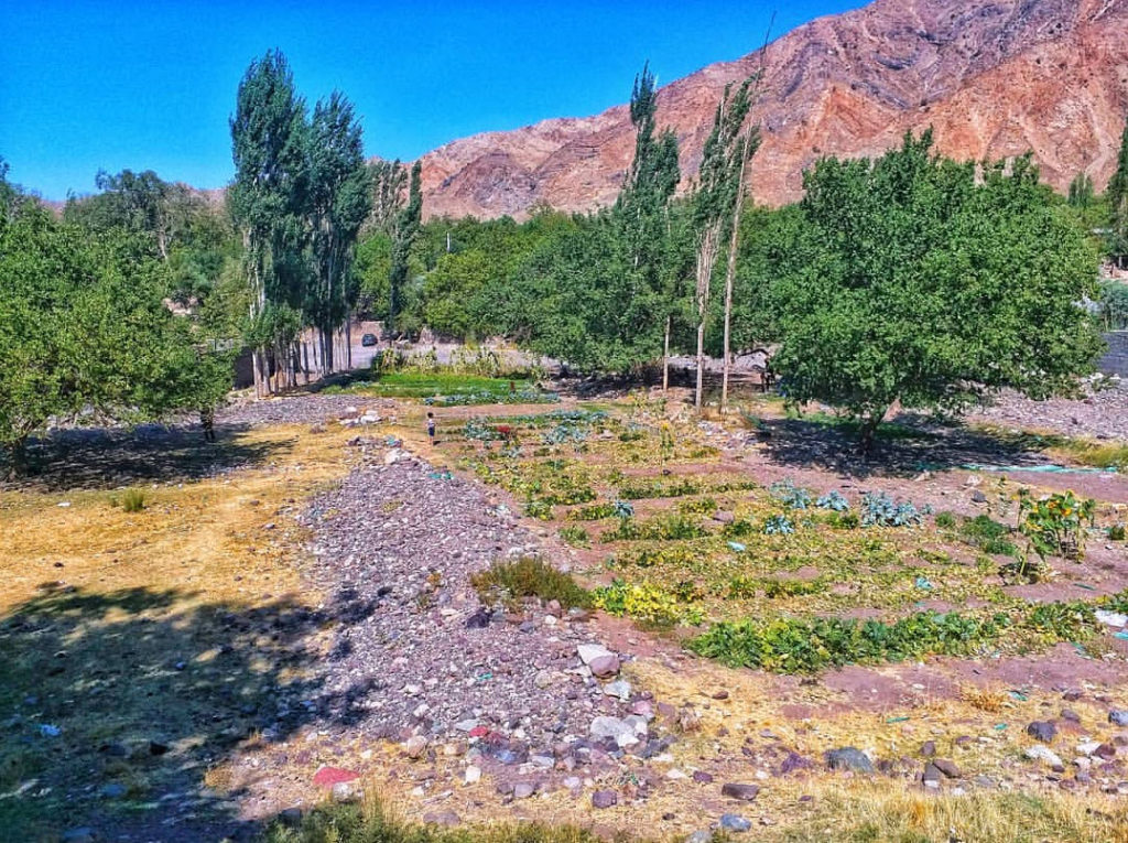 روستای دهبکری بم