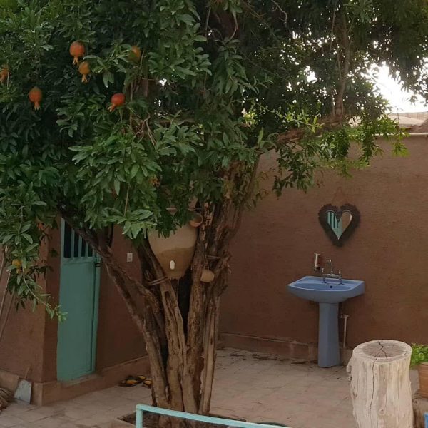 تورهای کرمانگردی